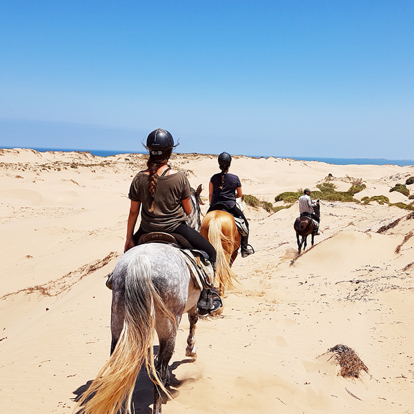 riding holidays essaouira