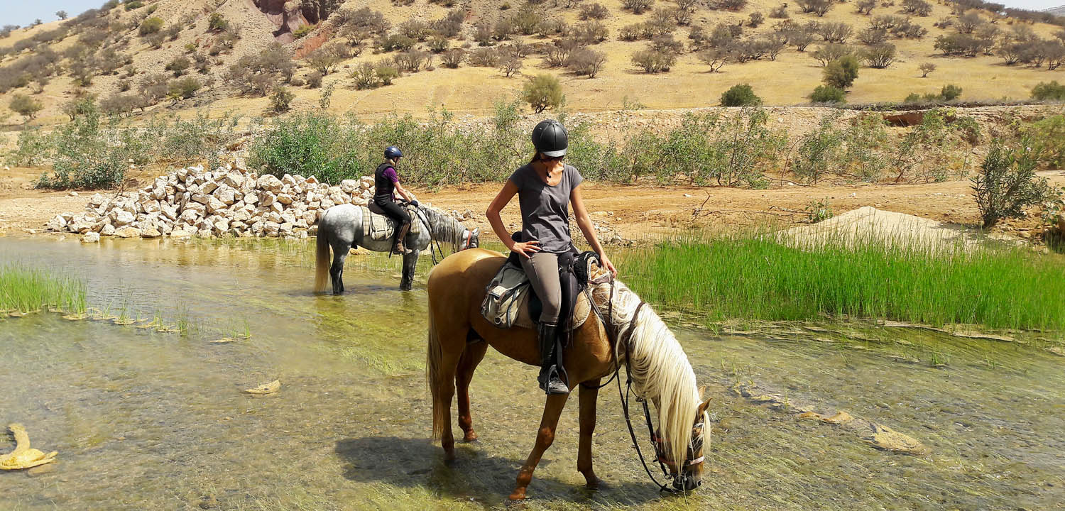 Horse riding holiday Essaouira Morocco 5 days