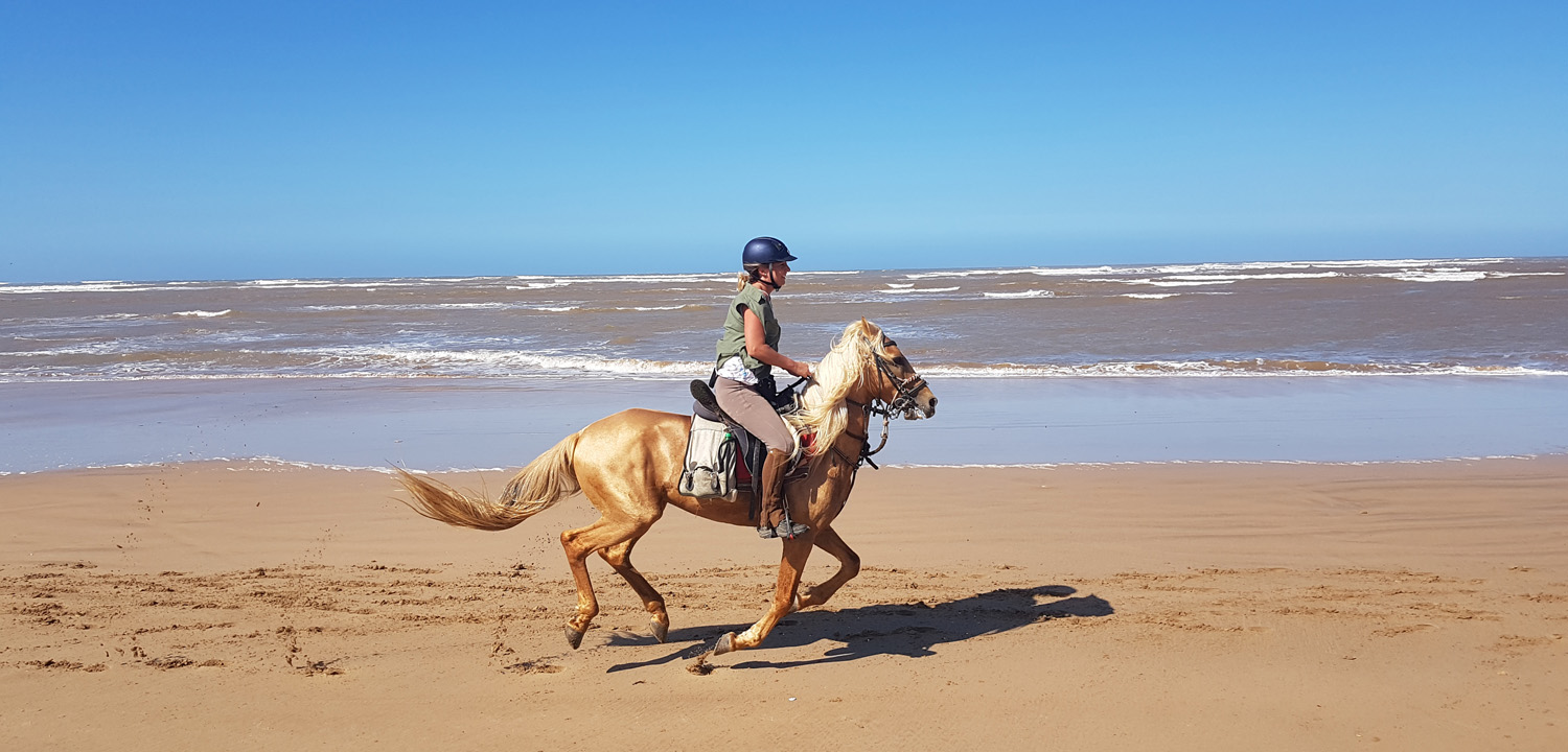 Horse riding holiday Essaouira Morocco 5 days