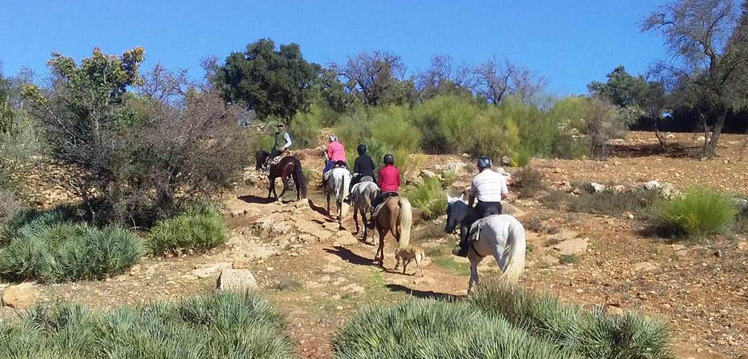 Horse riding holidays Morocco 5 days