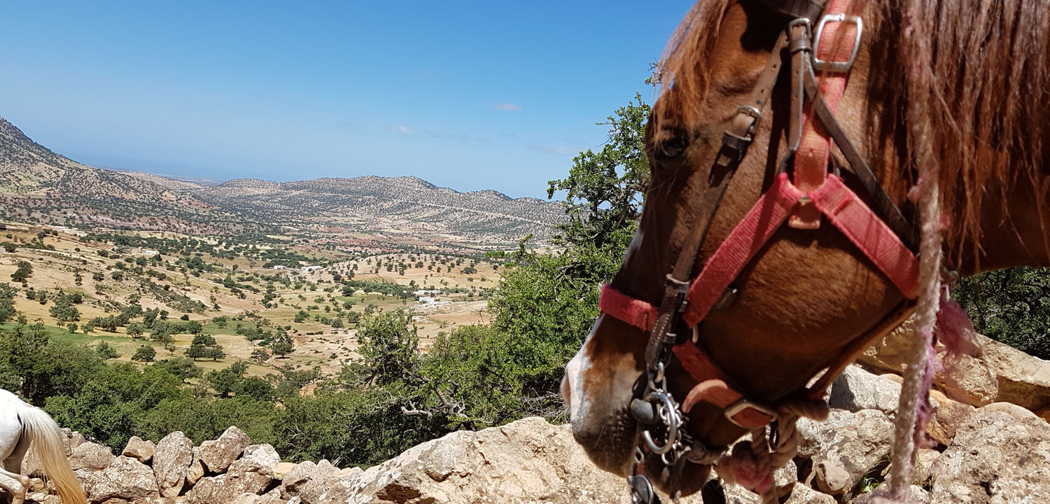 Horse trail Morocco 5 days