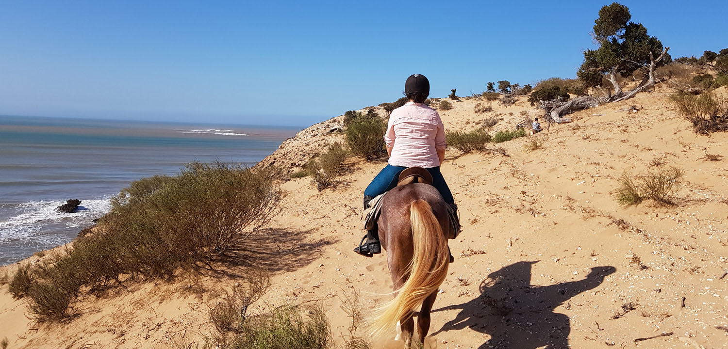 Horse riding holidays Morocco