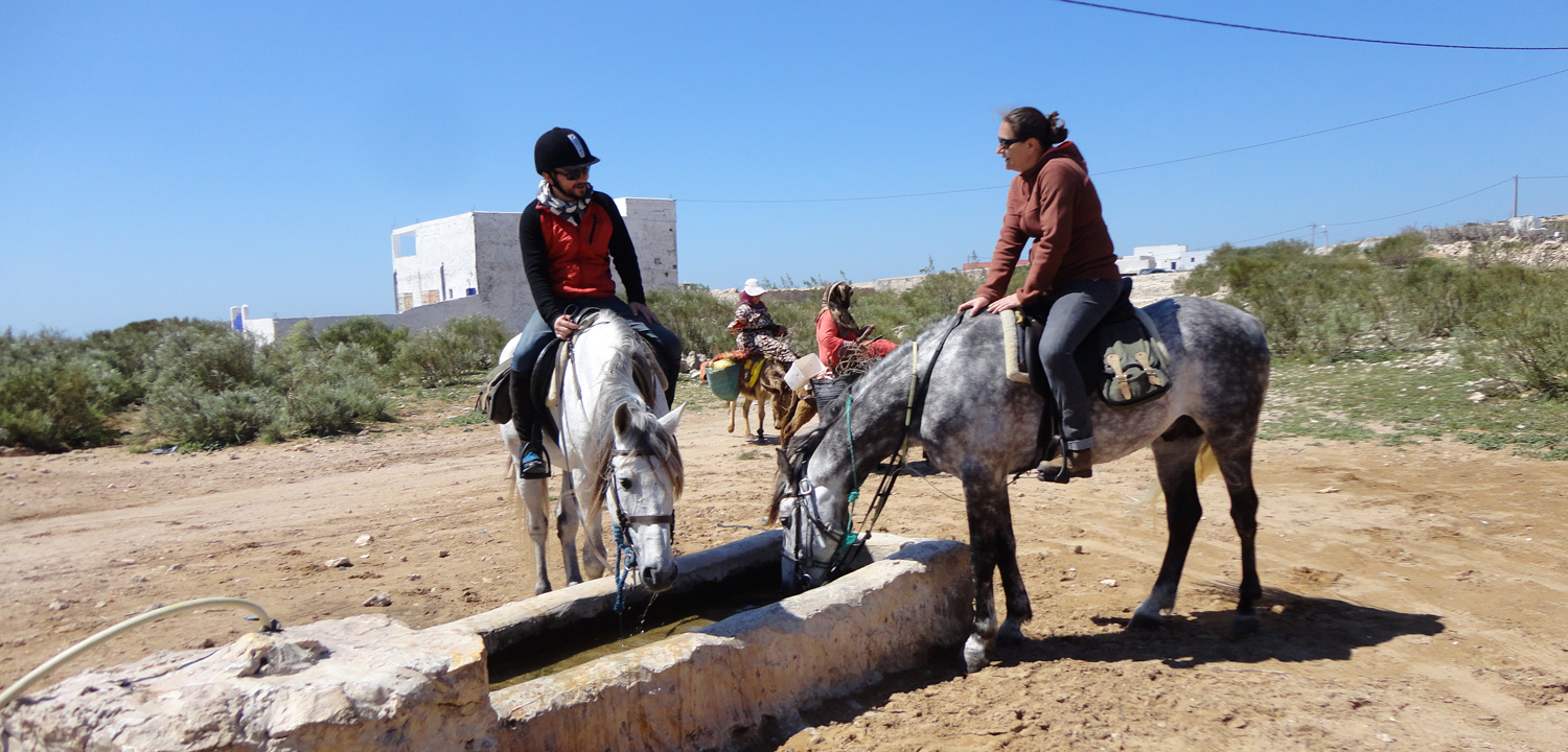 Horse riding holidays Essaouira