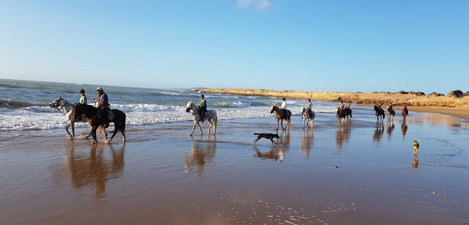 Horse trail Essaouira