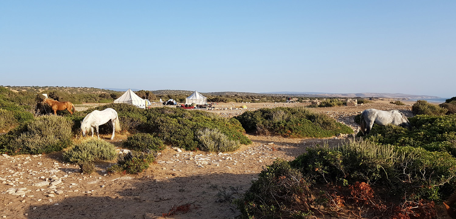 Horse trail Essaouira 4 days