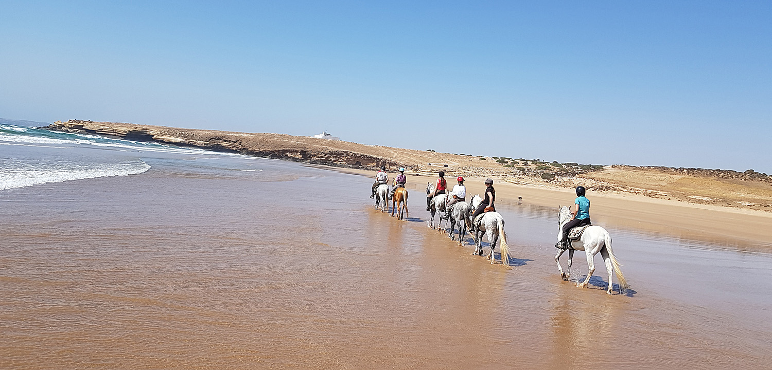 Horse trail Morocco 4 days