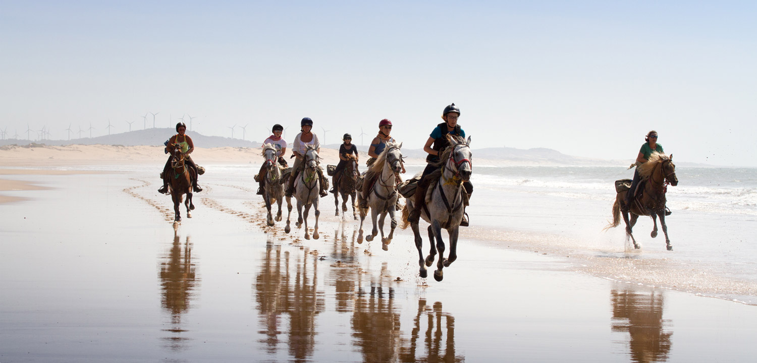 Balade cheval Essaouira