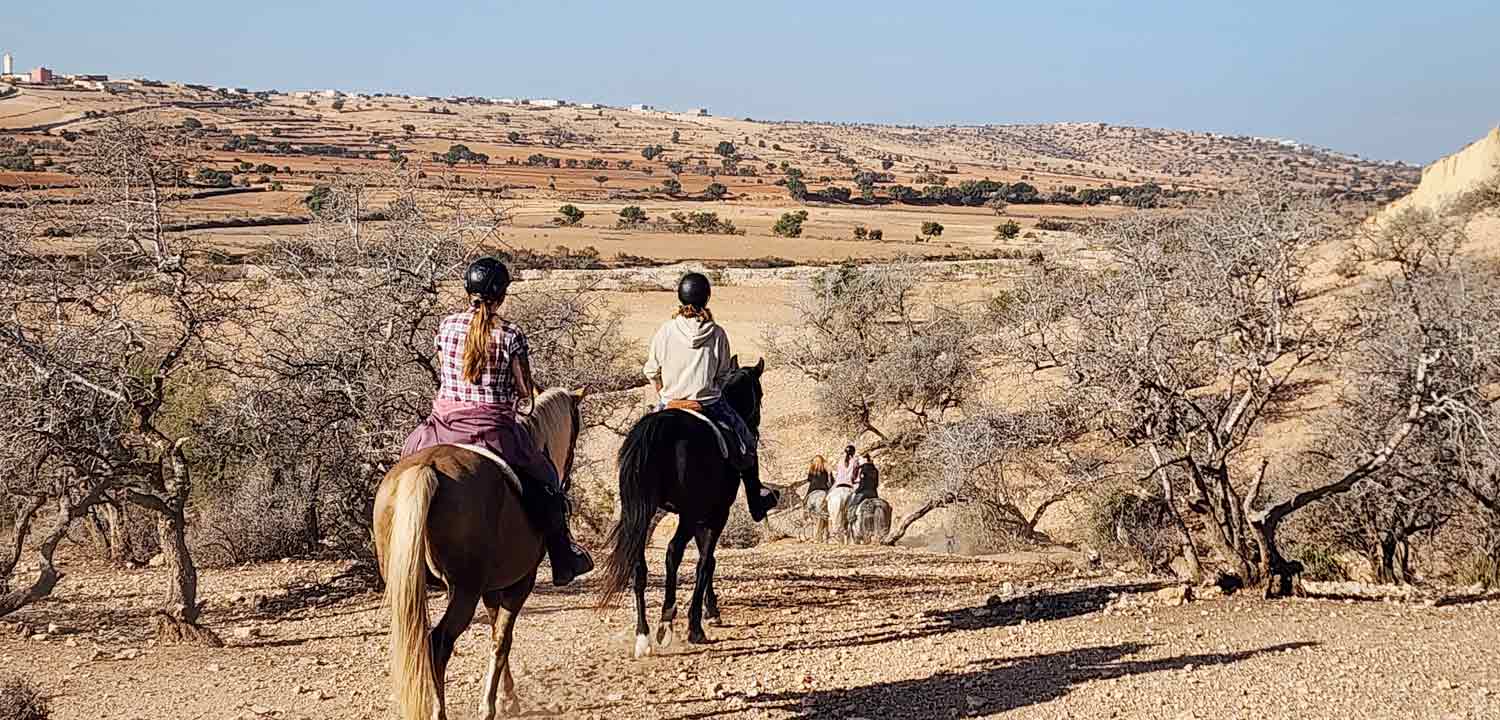 Hinterlands horseack