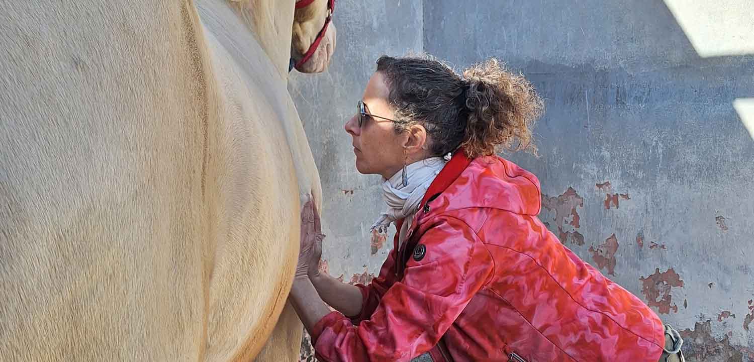 massage cheval essaouira