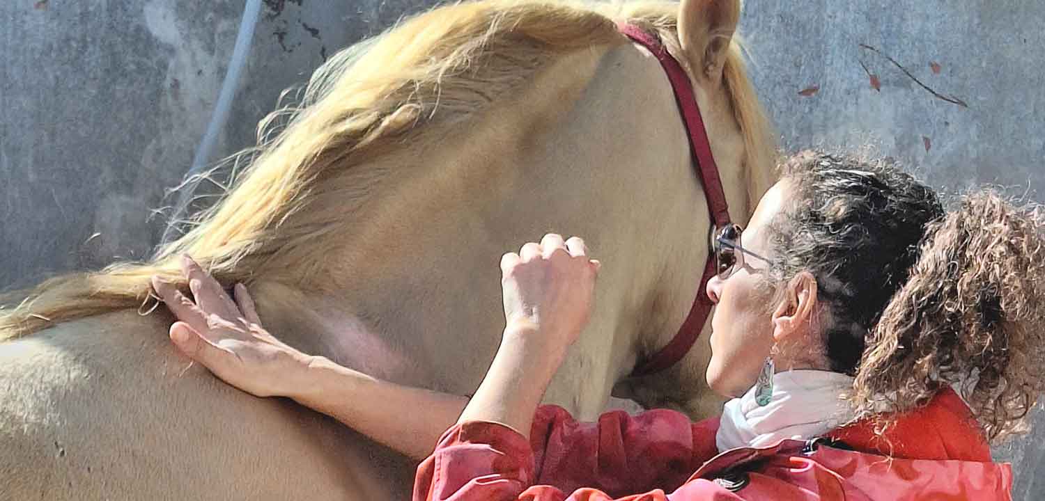 massage cheval essaouira